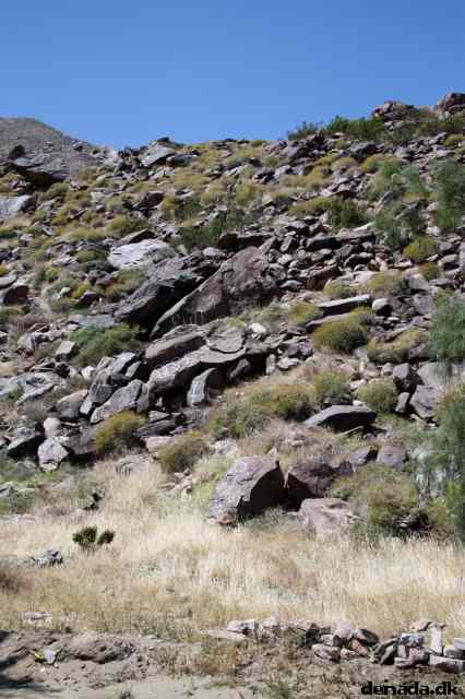 * Image 8
