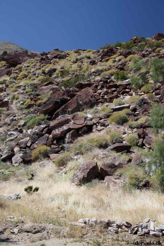 * Image 7