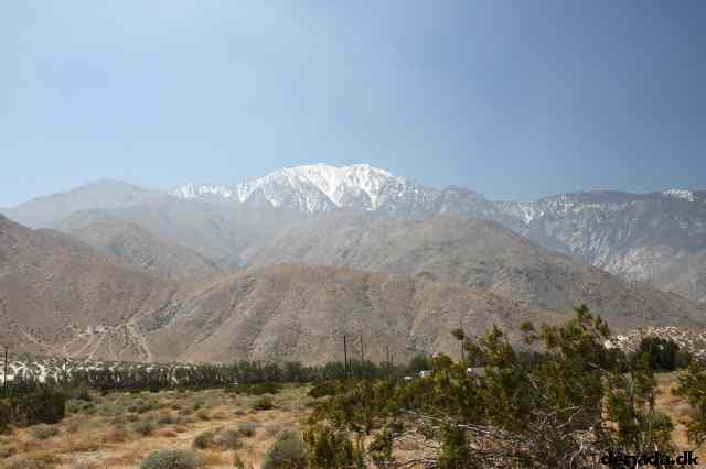 * Image 11