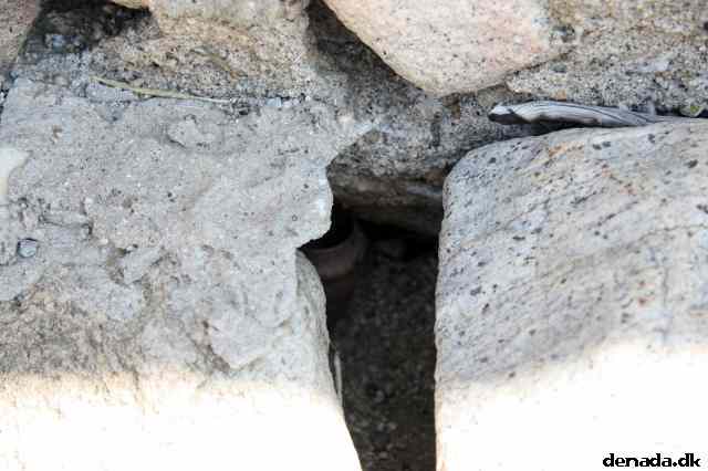 * Image 15