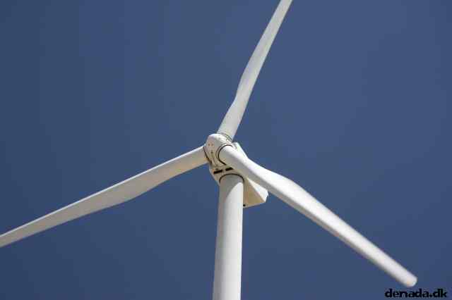 * Image 24