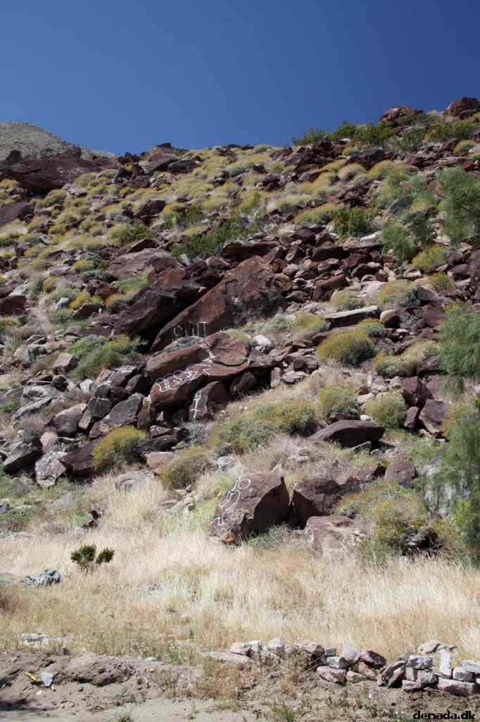 * Image 7