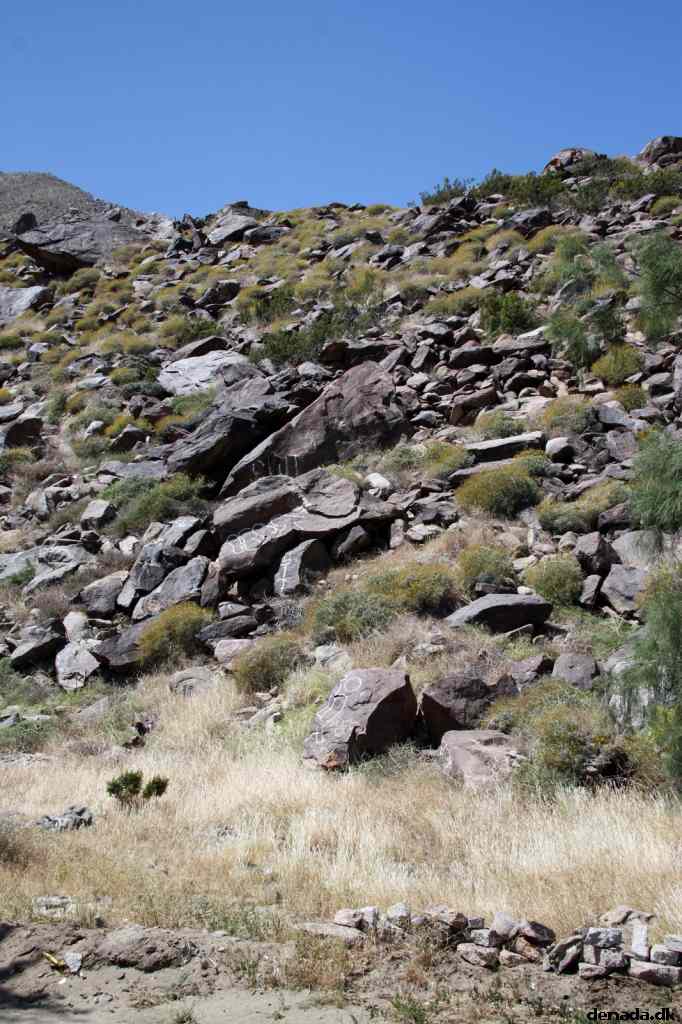 * Image 8