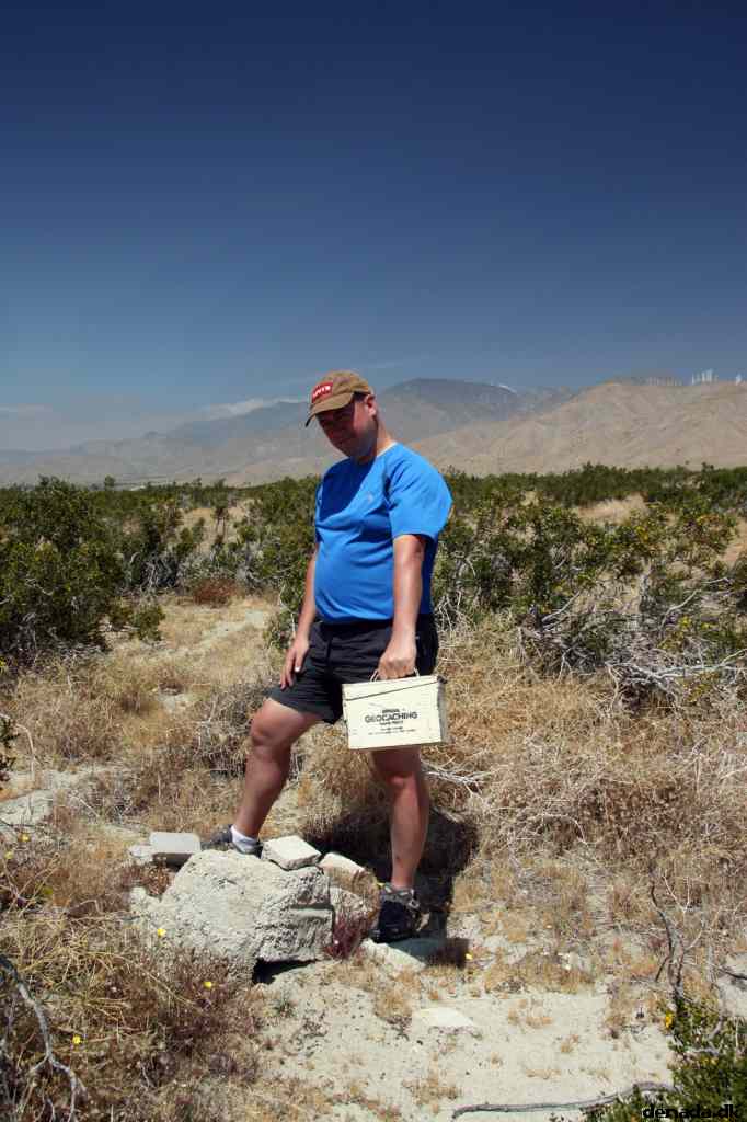 * Image 12