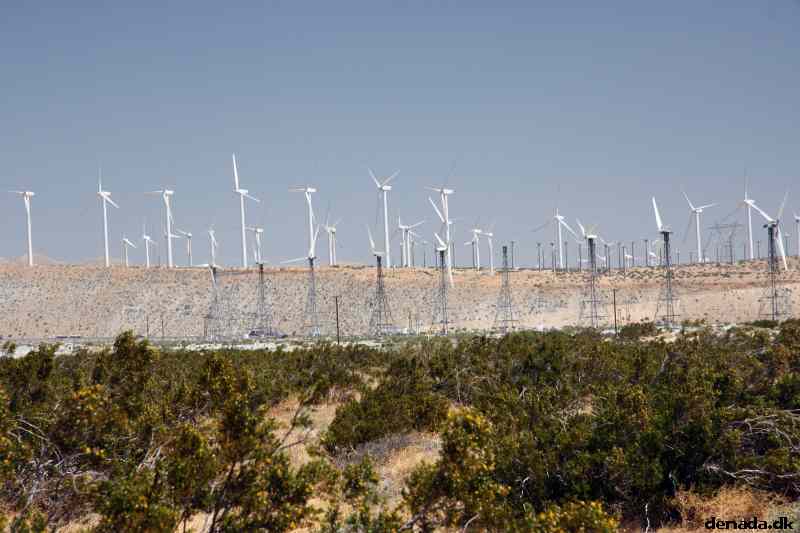 * Image 10