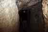 201104210980m.jpg - 2011:04:21 14:04:09