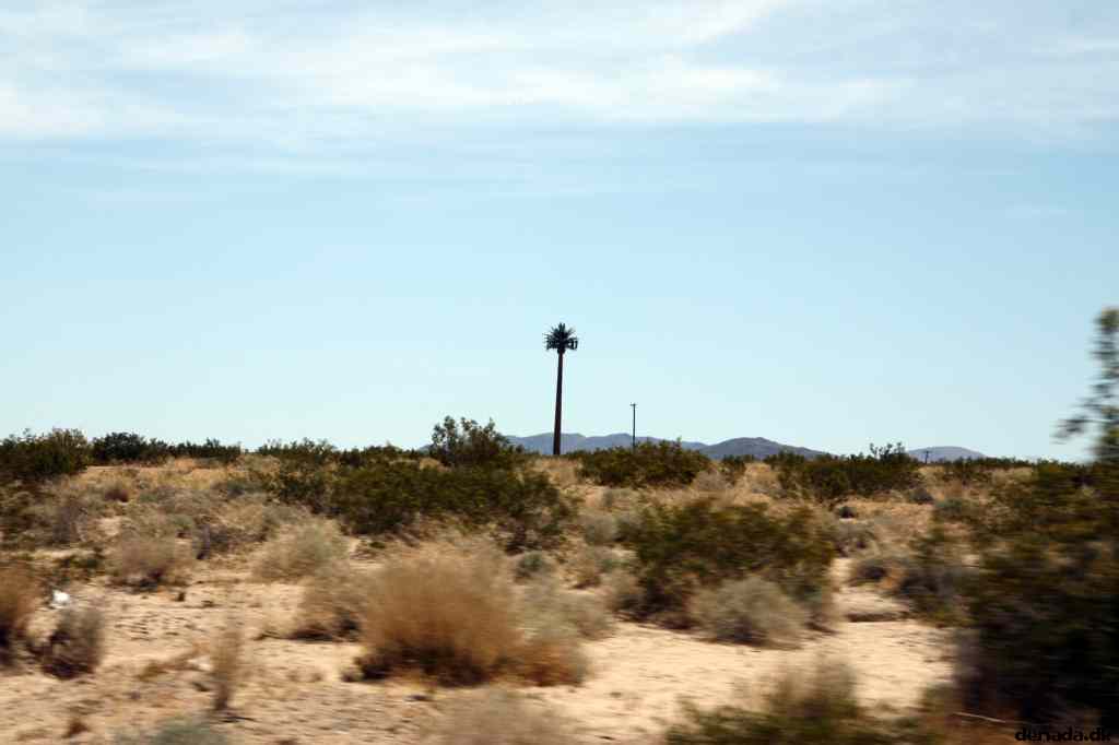 * Image 8