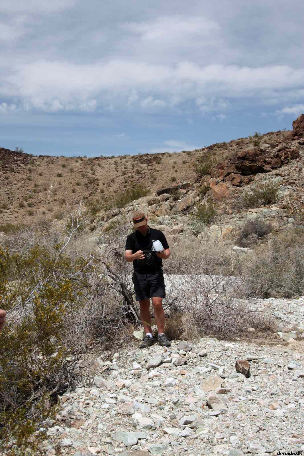 * Image 16