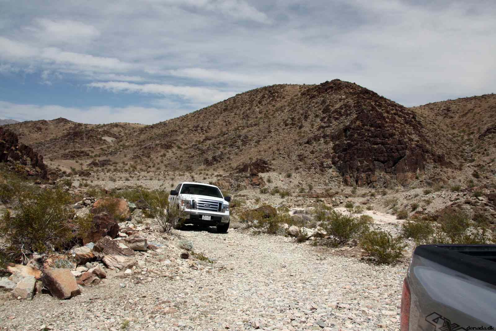 * Image 19