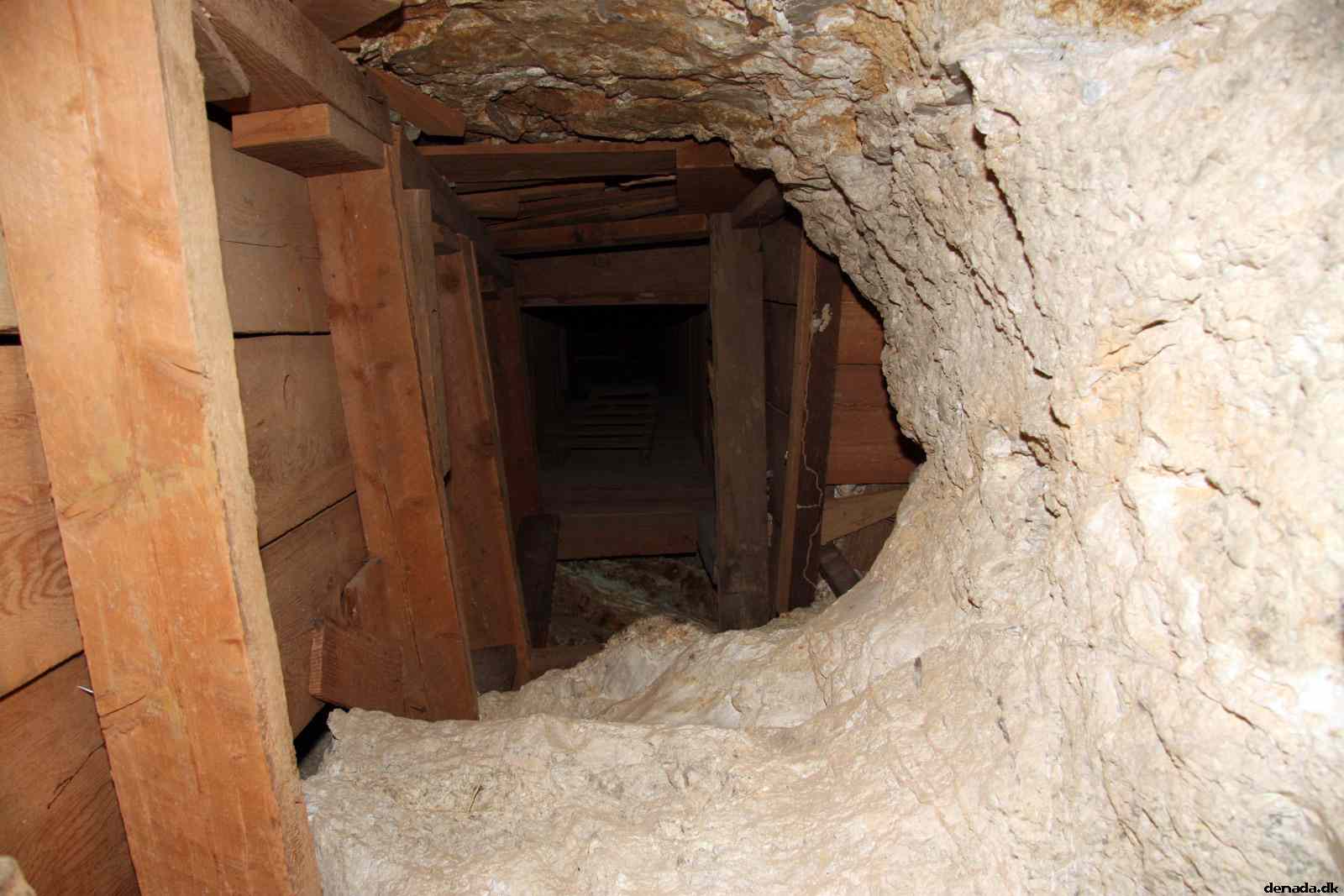 * Image 41