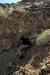 201104211008m.jpg - 2011:04:21 14:35:19