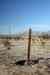 201104211071m.jpg - 2011:04:21 17:58:15
