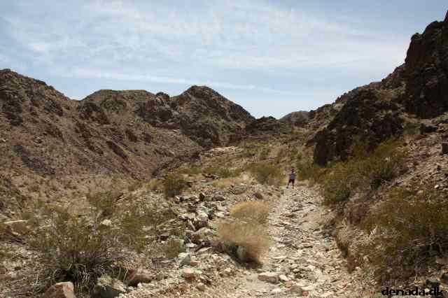 * Image 22