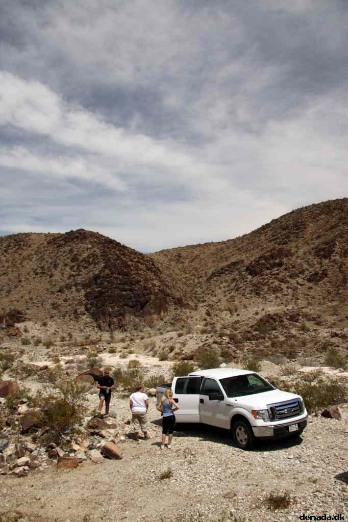 * Image 23