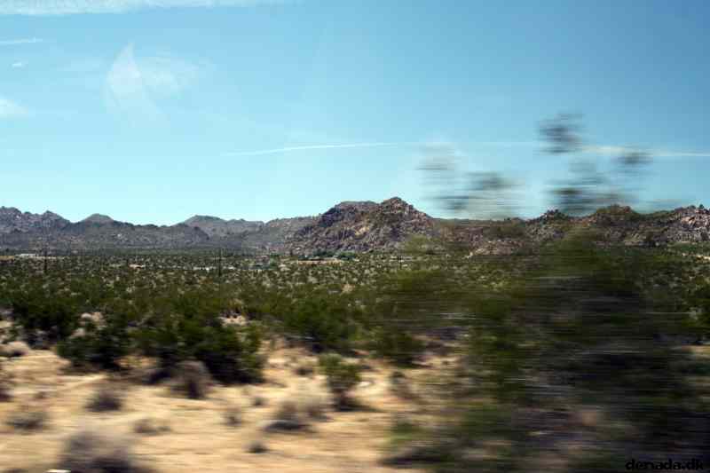* Image 4