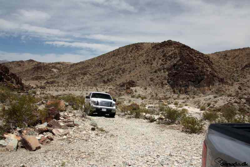 * Image 19
