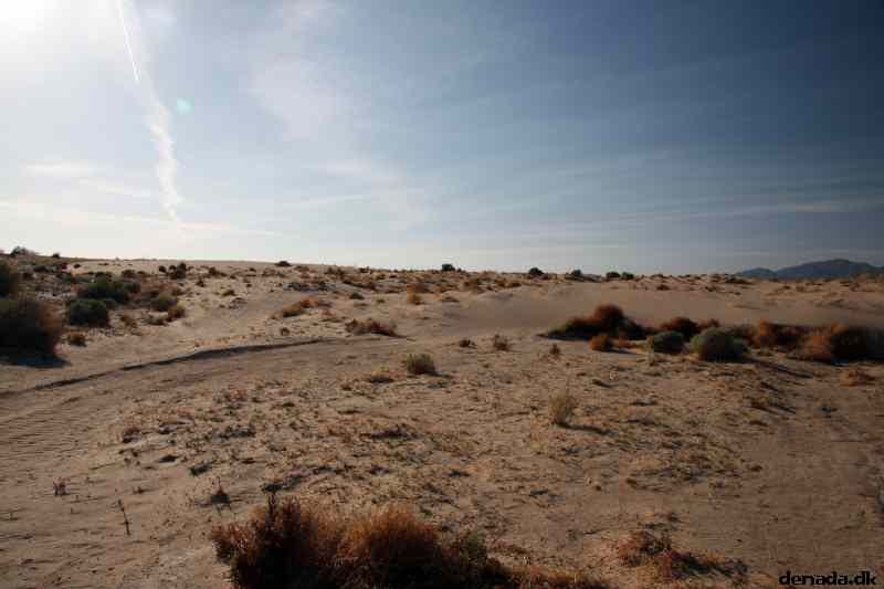* Image 92