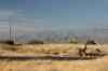 201104221156m.jpg - 2011:04:22 17:58:50