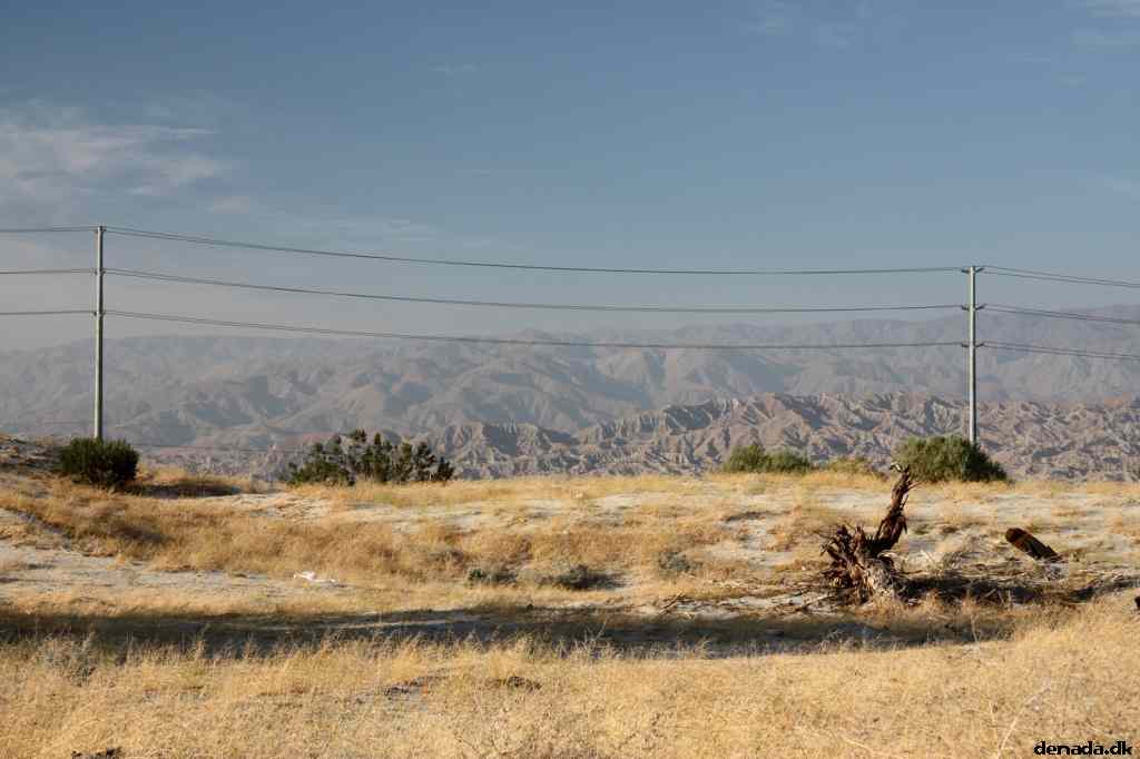 * Image 10
