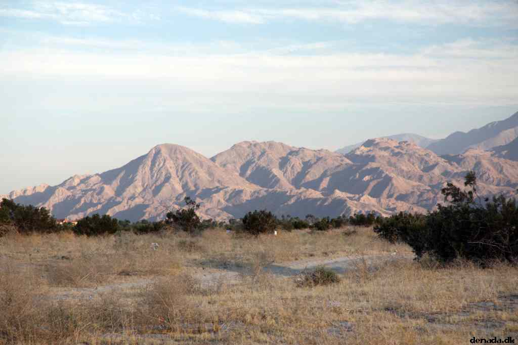 * Image 11