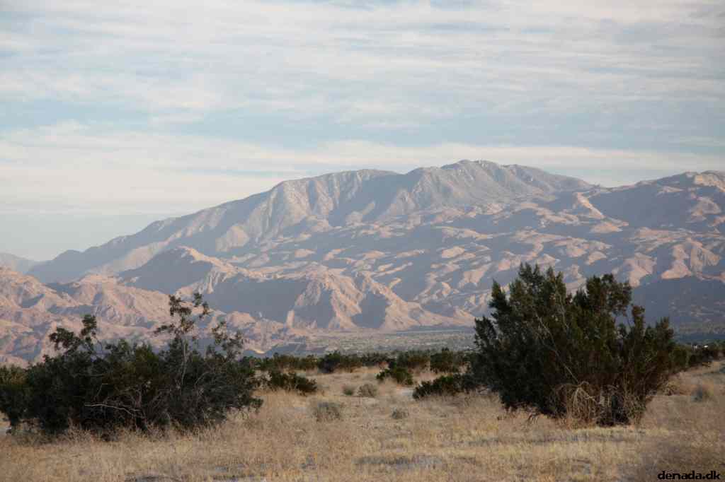 * Image 12