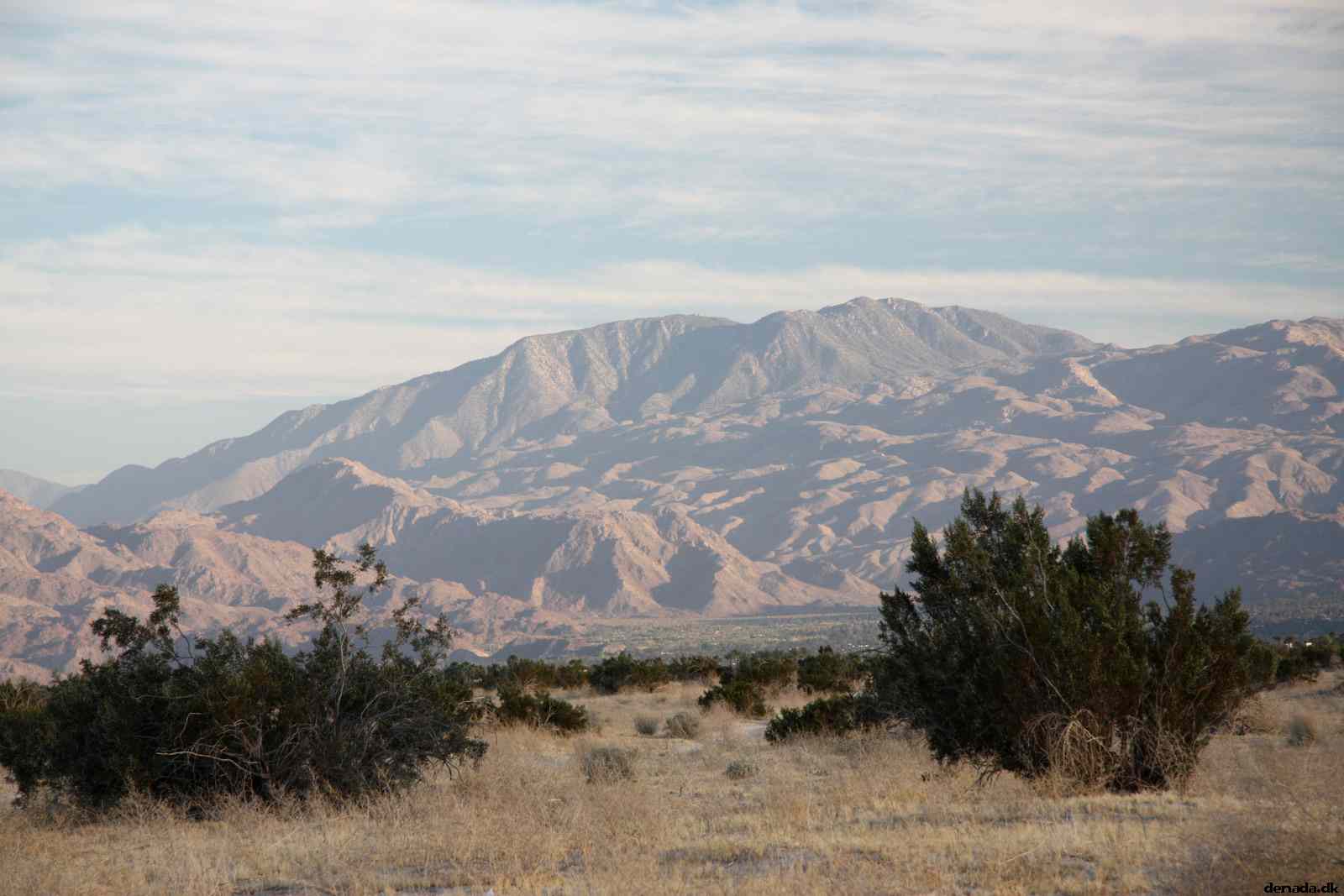 * Image 12