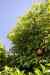 201104221143m.jpg - 2011:04:22 14:02:46