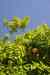 201104221144m.jpg - 2011:04:22 14:02:59
