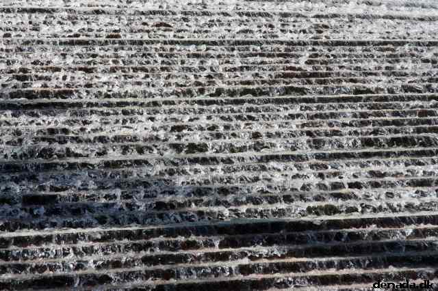 * Image 4