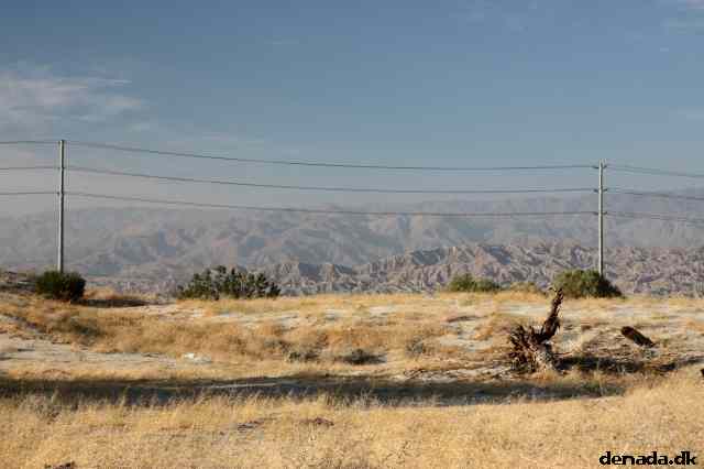 * Image 10