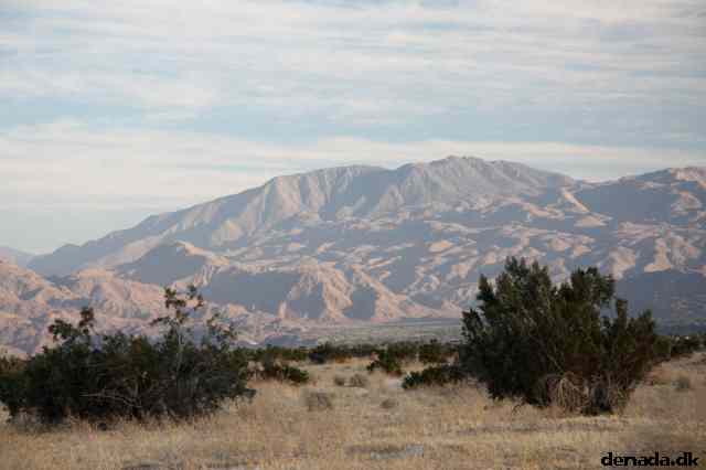 * Image 12