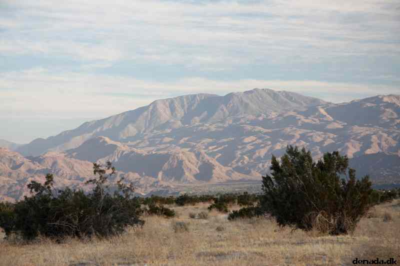 * Image 12