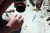 201104231181m.jpg - 2011:04:23 14:30:28