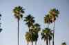 201104231221m.jpg - 2011:04:23 17:52:36