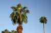 201104231223m.jpg - 2011:04:23 17:55:52