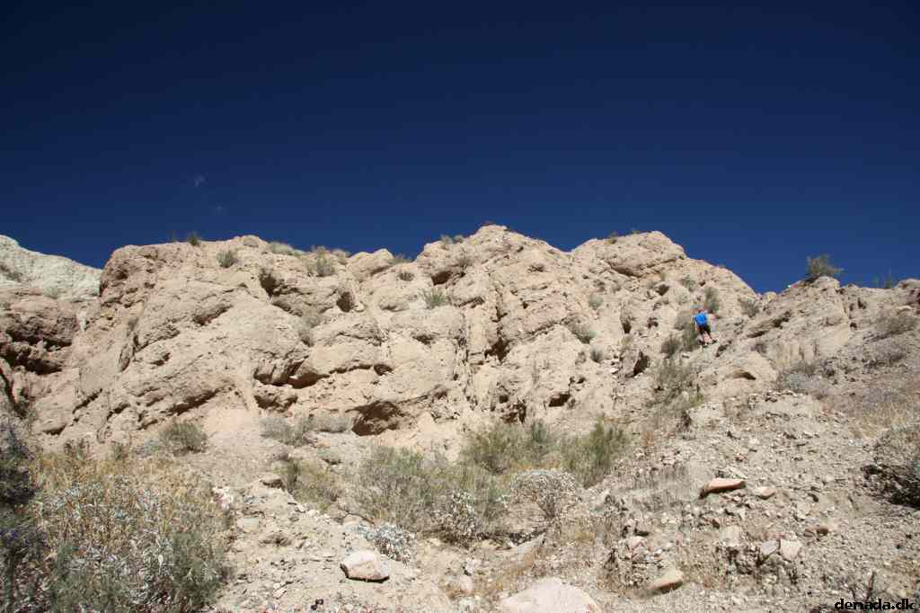 * Image 25