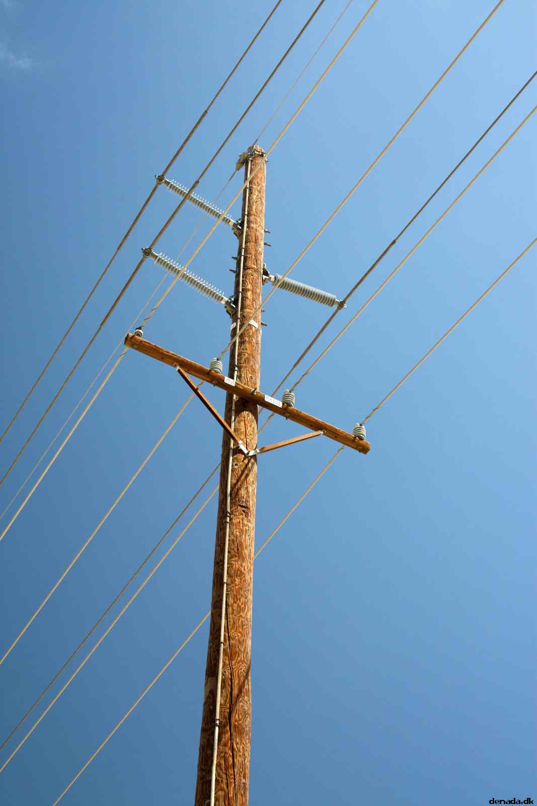 * Image 11