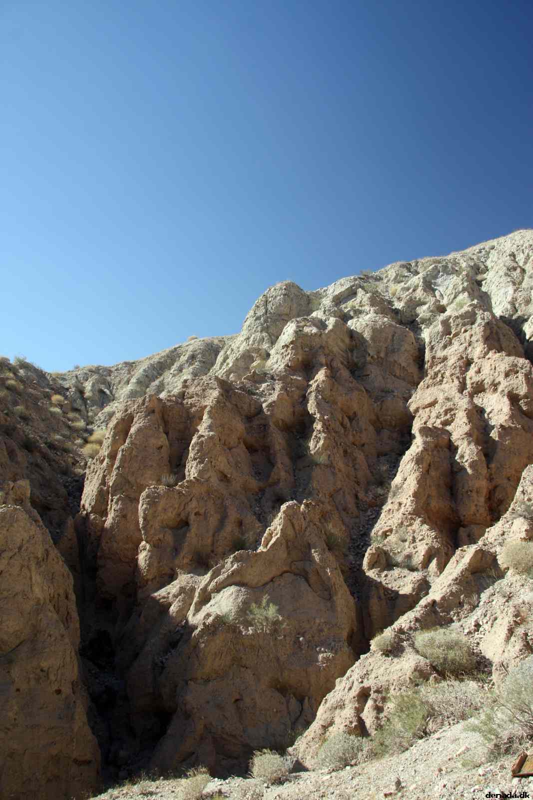 * Image 33