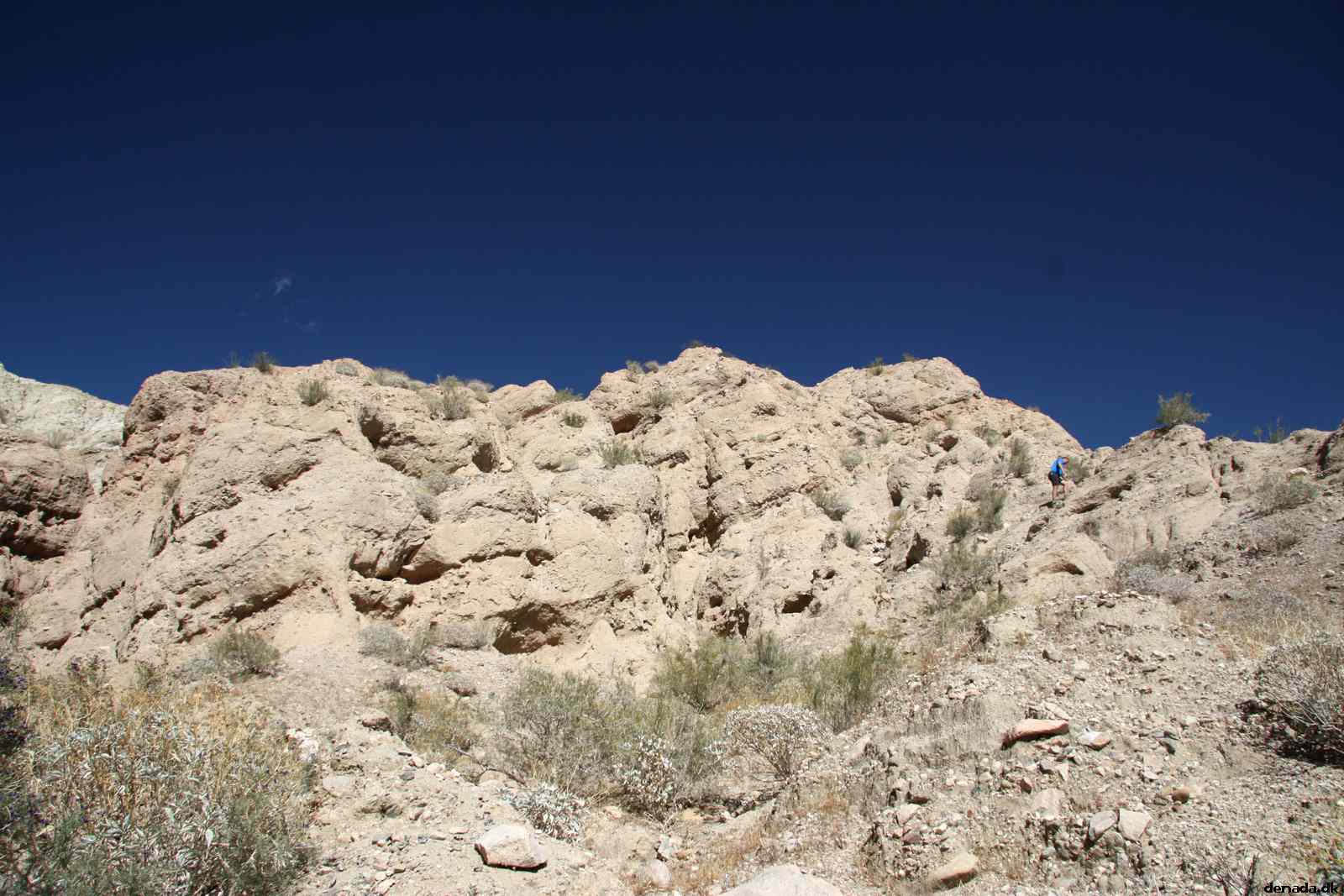 * Image 26