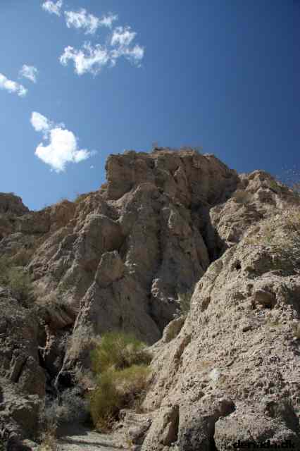 * Image 15