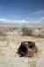 201104231177m.jpg - 2011:04:23 14:10:27