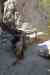 201104231184m.jpg - 2011:04:23 15:40:37