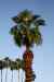 201104231224m.jpg - 2011:04:23 17:56:02