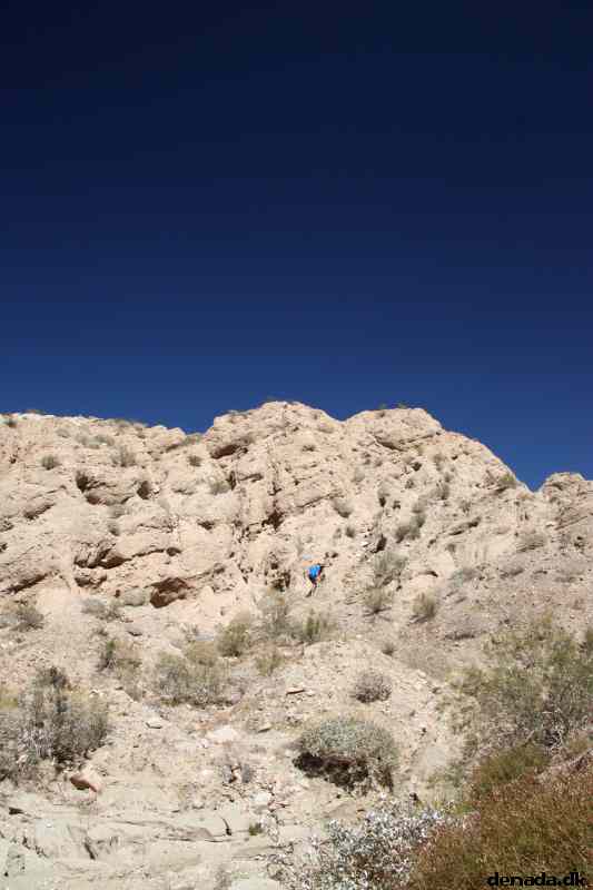* Image 19