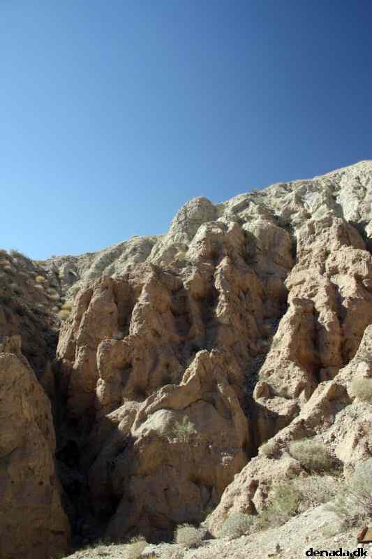* Image 33