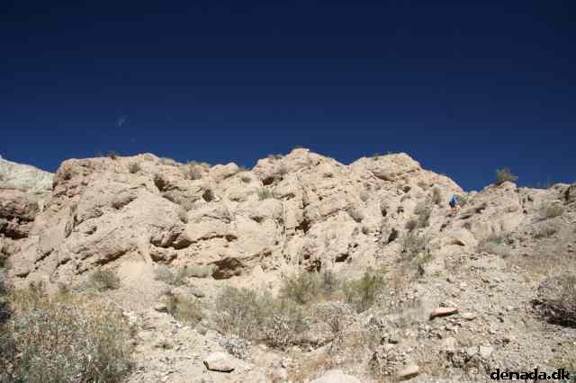 * Image 26