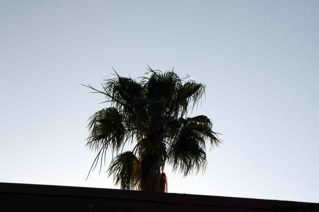 * Image 36