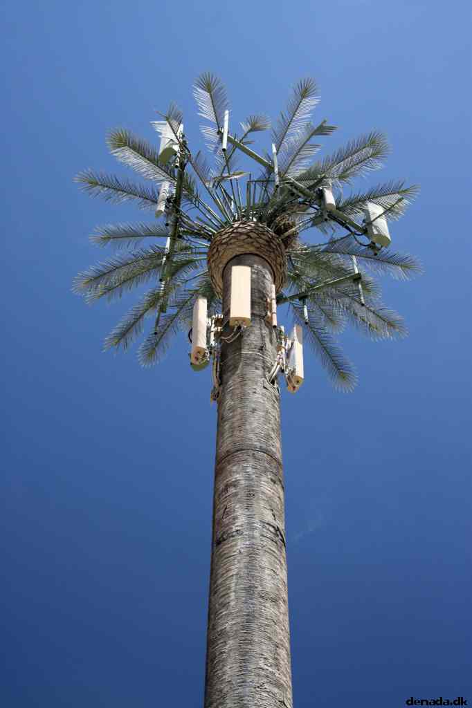 * Image 7