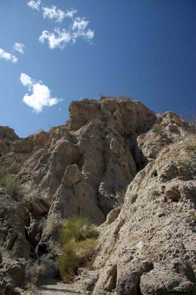 * Image 15