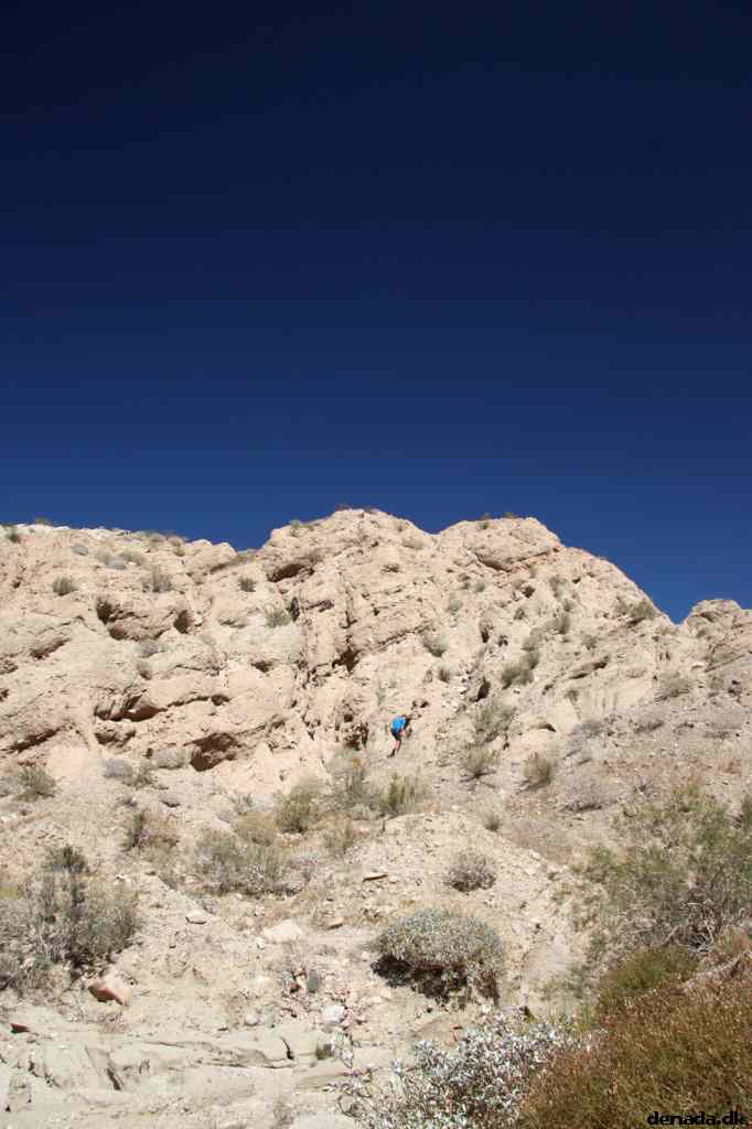 * Image 19